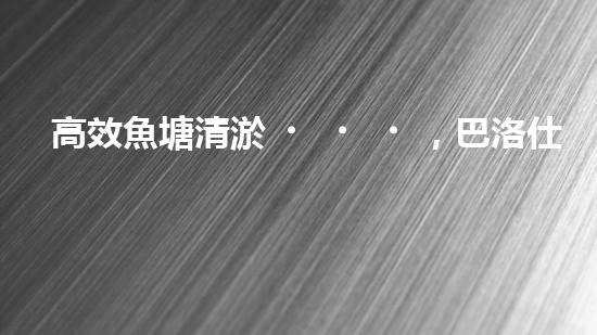 高效魚塘清淤，巴洛仕設(shè)備助力生態(tài)養(yǎng)殖